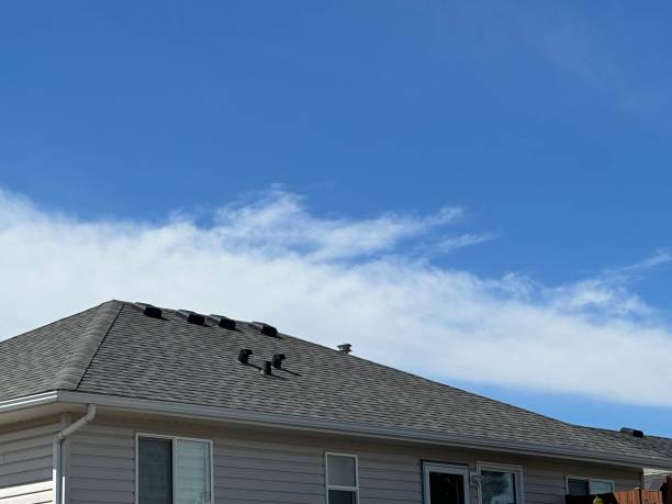 Skylights in West Point, KY